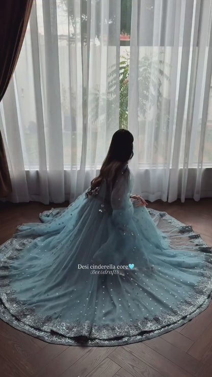 Sky Blue Embellished Net Gown for Women